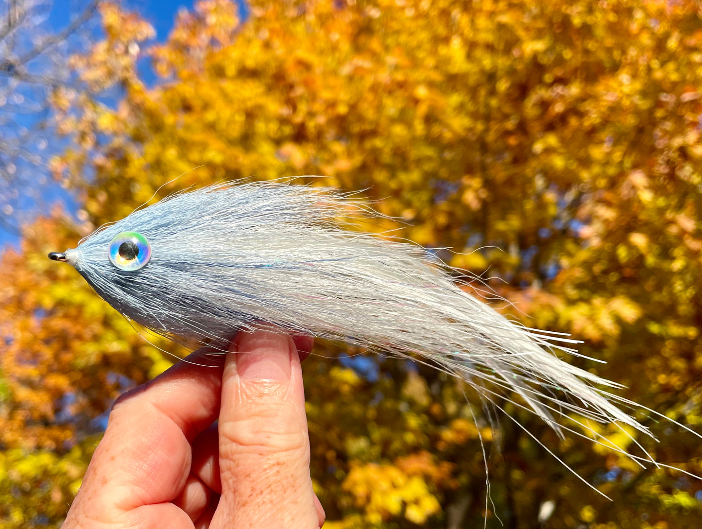 Reverse Bulkhead Hollow Fly - White body with blue steel head and 3d eyes