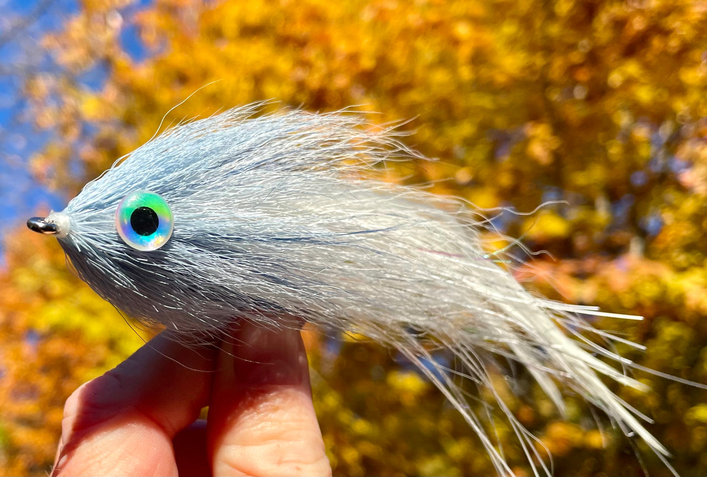 Reverse Bulkhead Hollow Fly - White body with blue steel head and 3d eyes