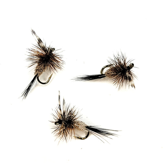 Irresistible - (Pack of 3)