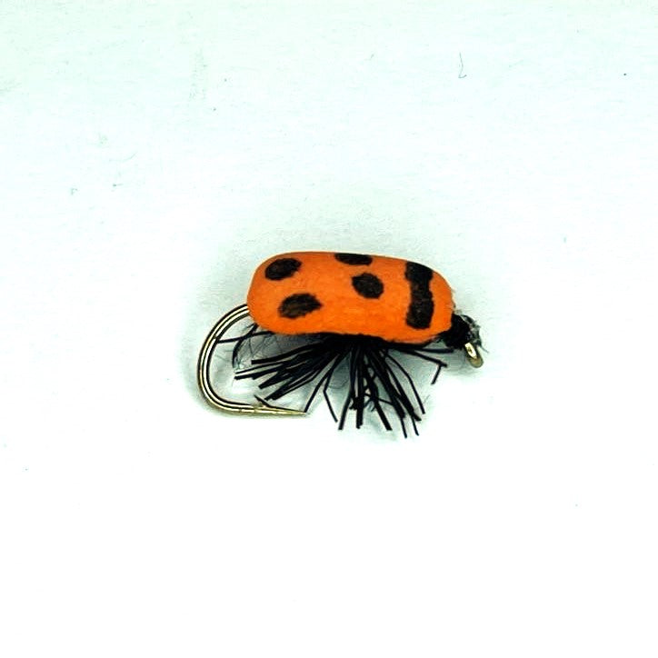 KR Lady Bug - (Pack of 3)