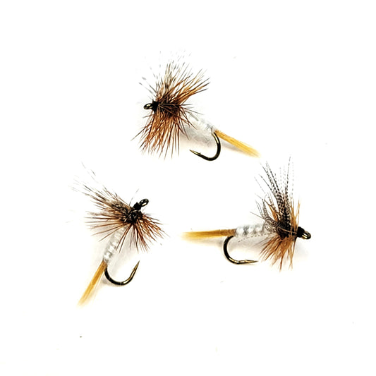 Light Cahill - (Pack of 3)