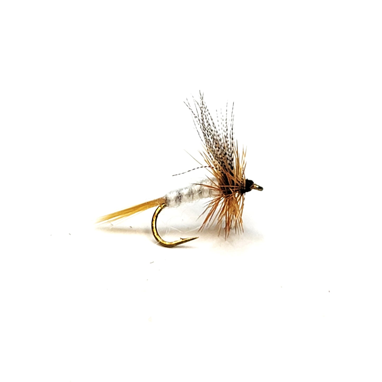 Light Cahill - (Pack of 3)