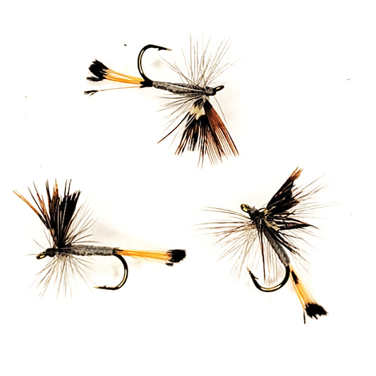 Mayfly - (Pack of 3)