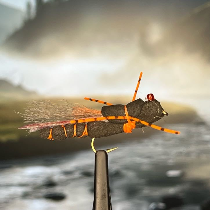 Project Cicada - (Pack of 3)