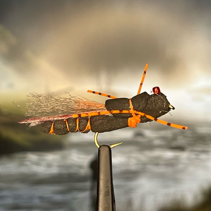 Project Cicada - (Pack of 3)