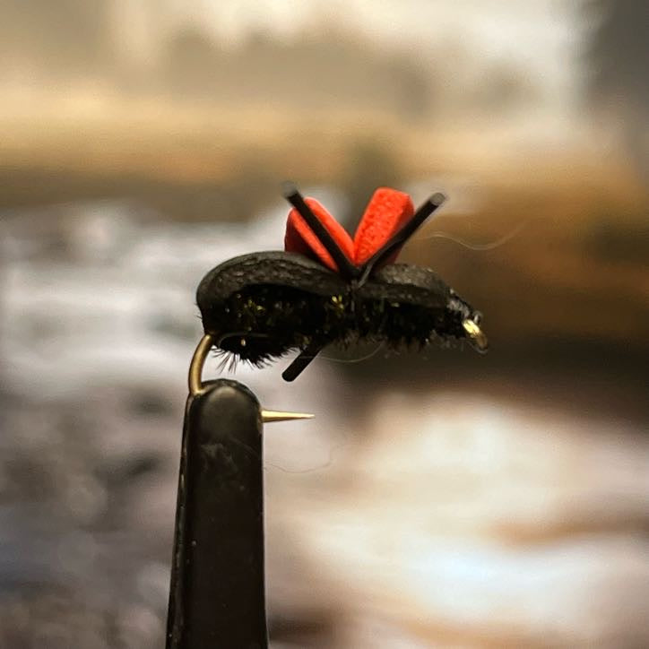 Rainy Foam Beetle - (Pack of 3)