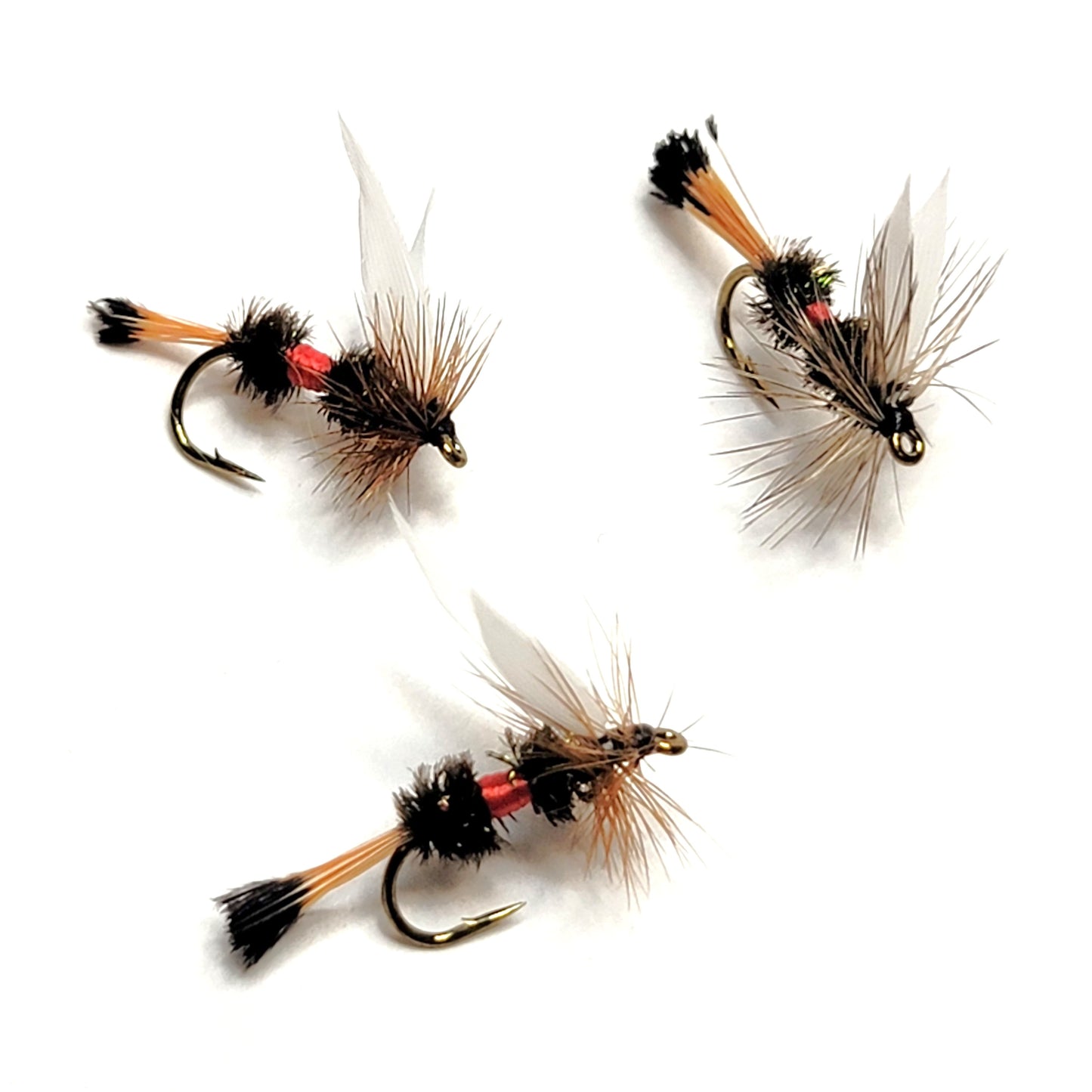 Royal Coachman - (Pack of 3)