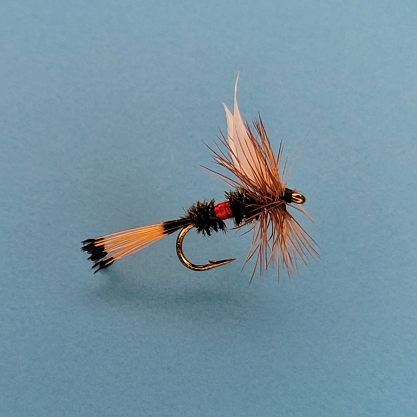 Royal Coachman - (Pack of 3)