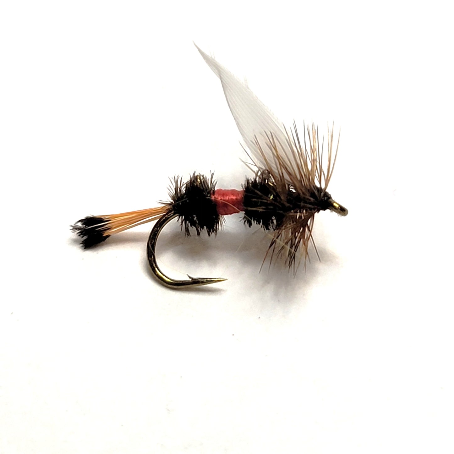 Royal Coachman - (Pack of 3)