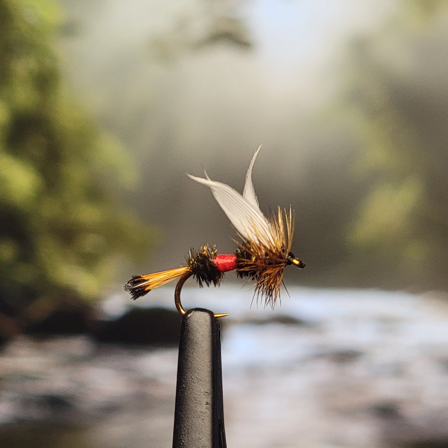 Royal Coachman - (Pack of 3)