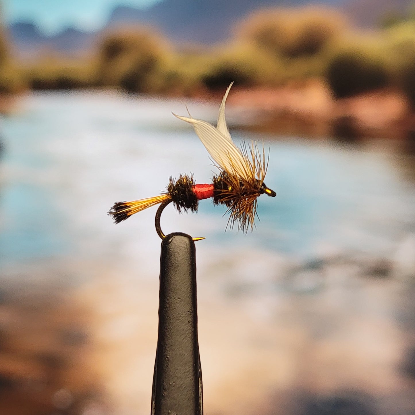 Royal Coachman - (Pack of 3)