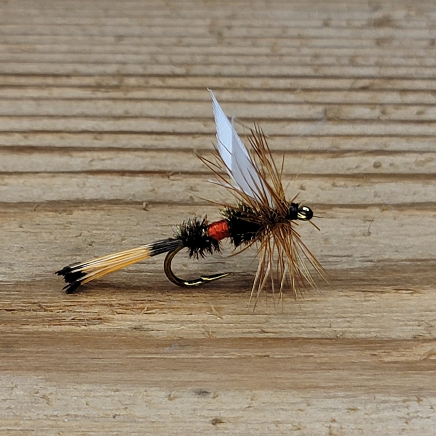 Royal Coachman - (Pack of 3)