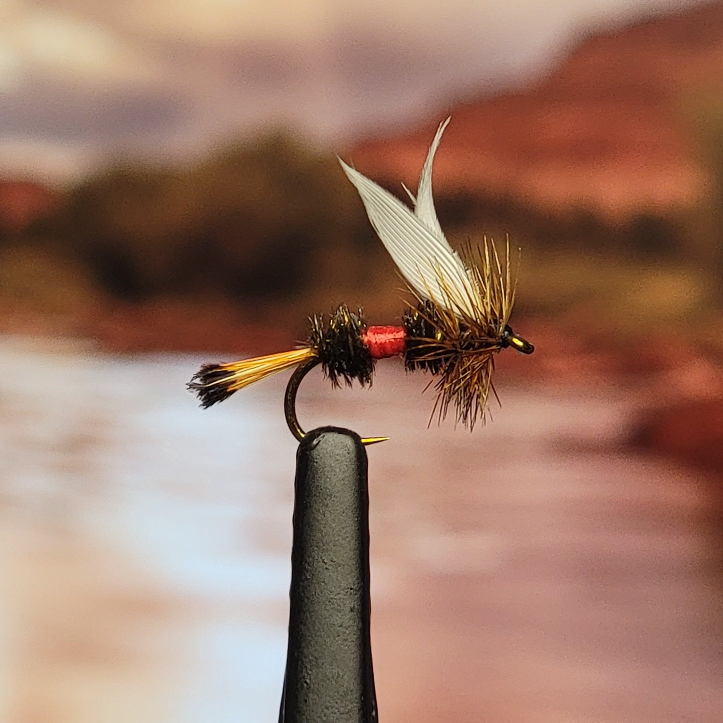 Royal Coachman - (Pack of 3)