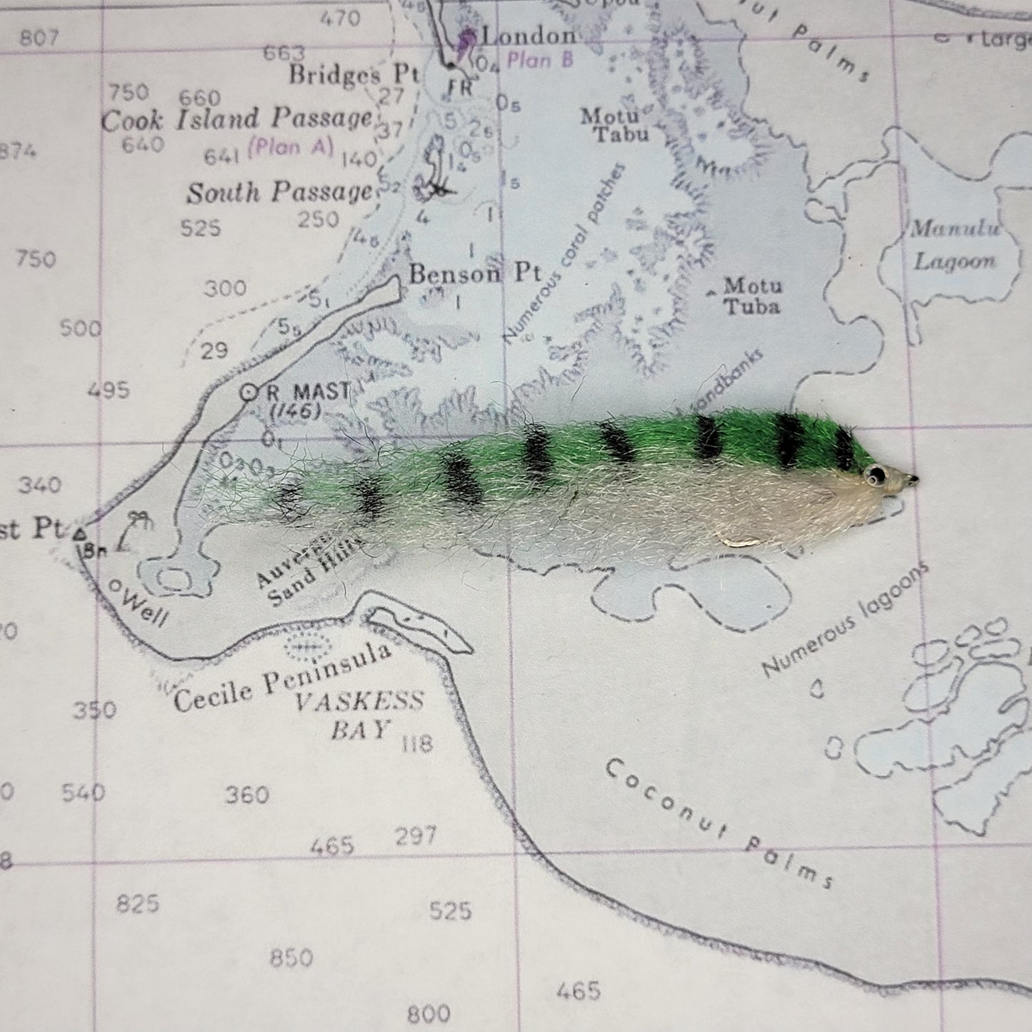 Salty Baitfish Anchovy | Size 4