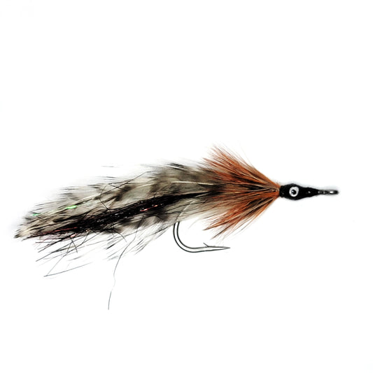 Tarpon Cockroach | Size #4/0