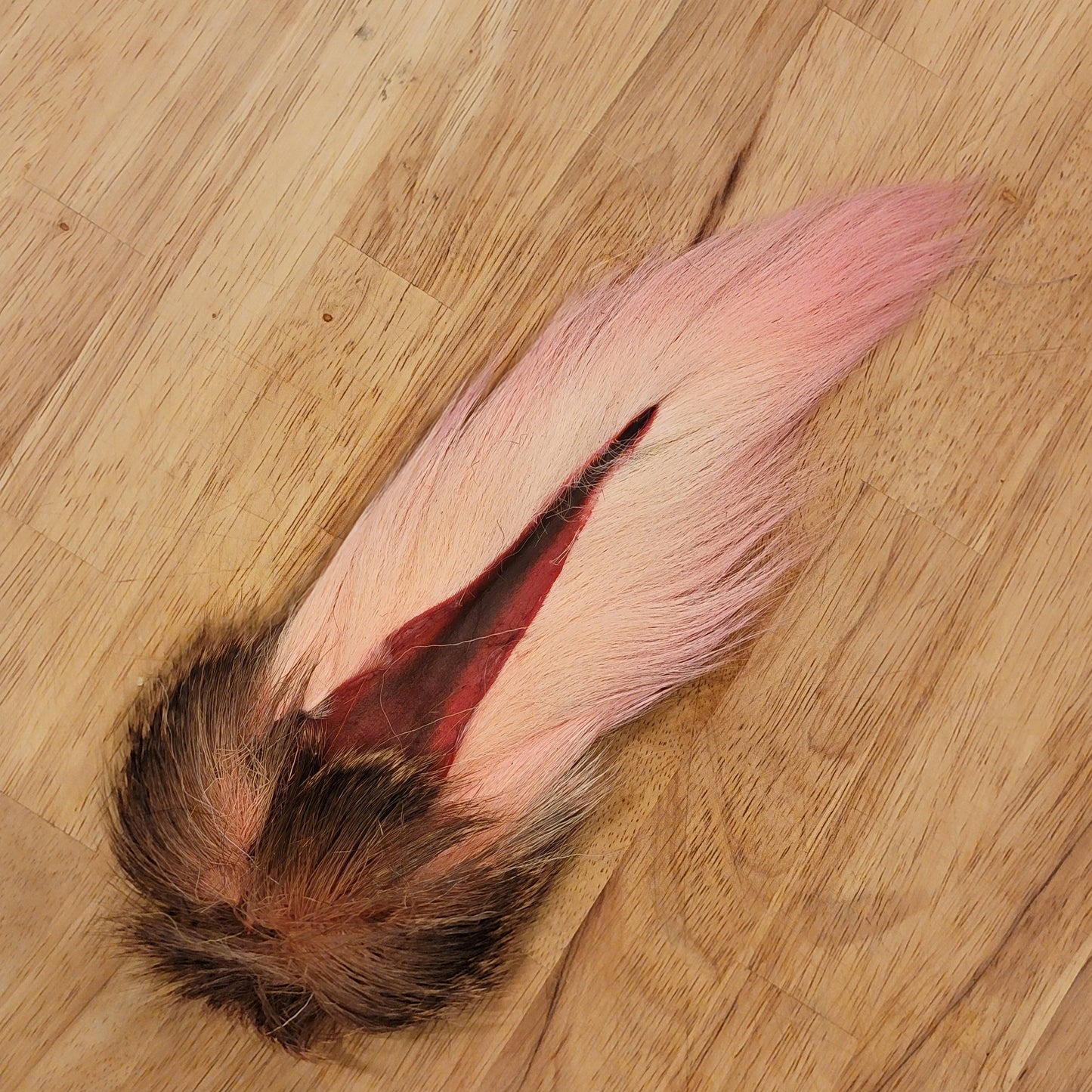 Large Bucktail