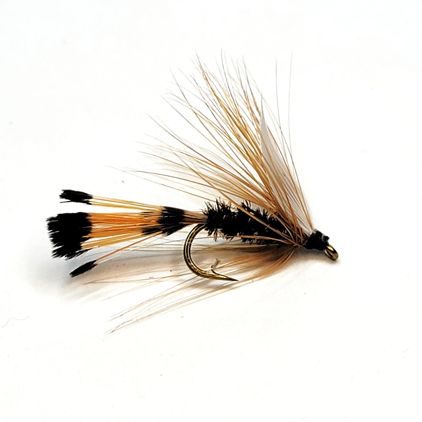 Western Coachman - (Pack of 3)