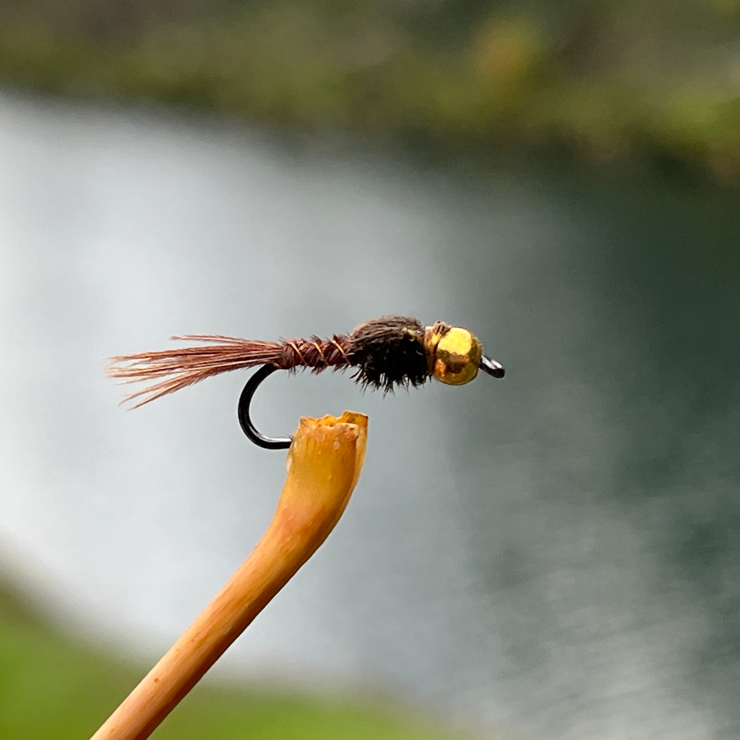 Bead Head Pheasant Tail Nymph - (Pack of 3)