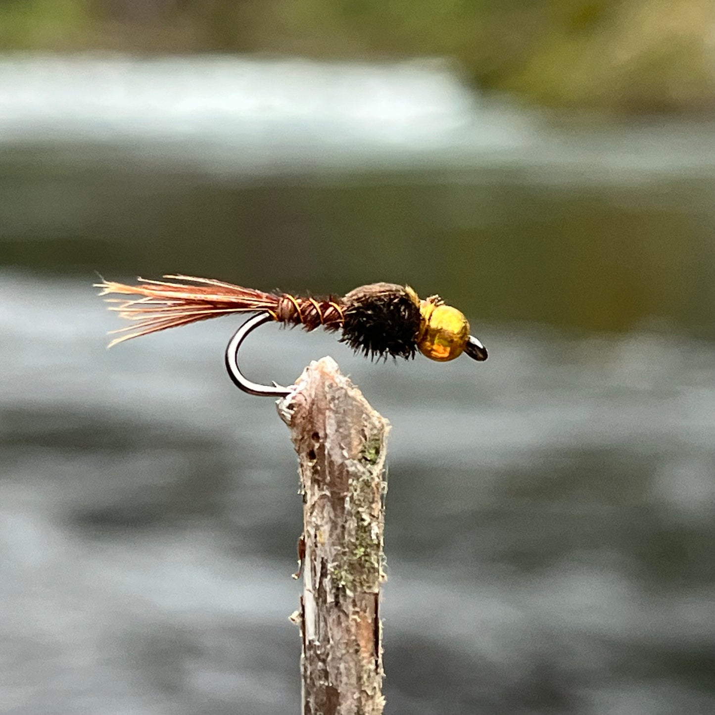 Bead Head Pheasant Tail Nymph - (Pack of 3)