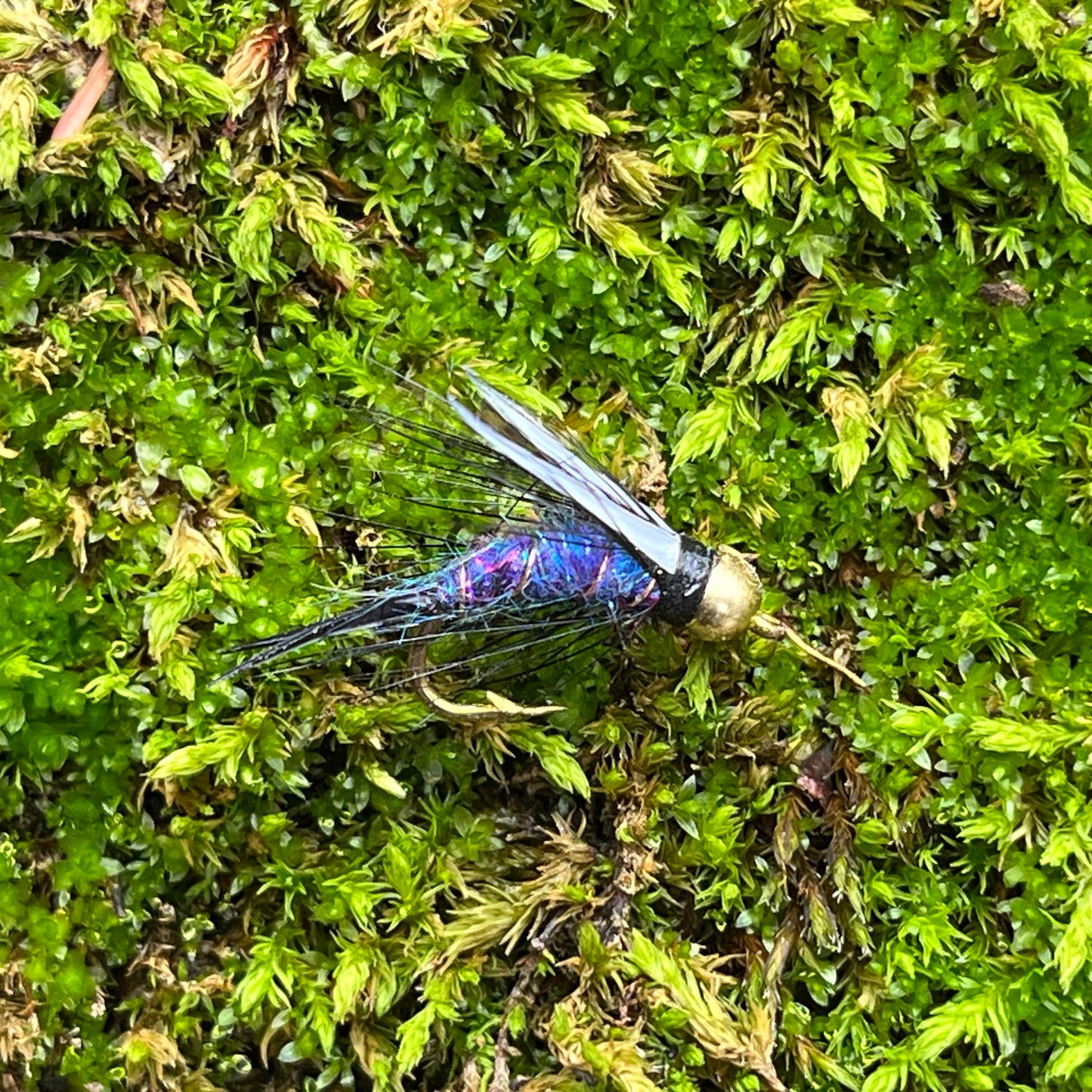 Beadhead Prince Nymph - (Pack of 3)