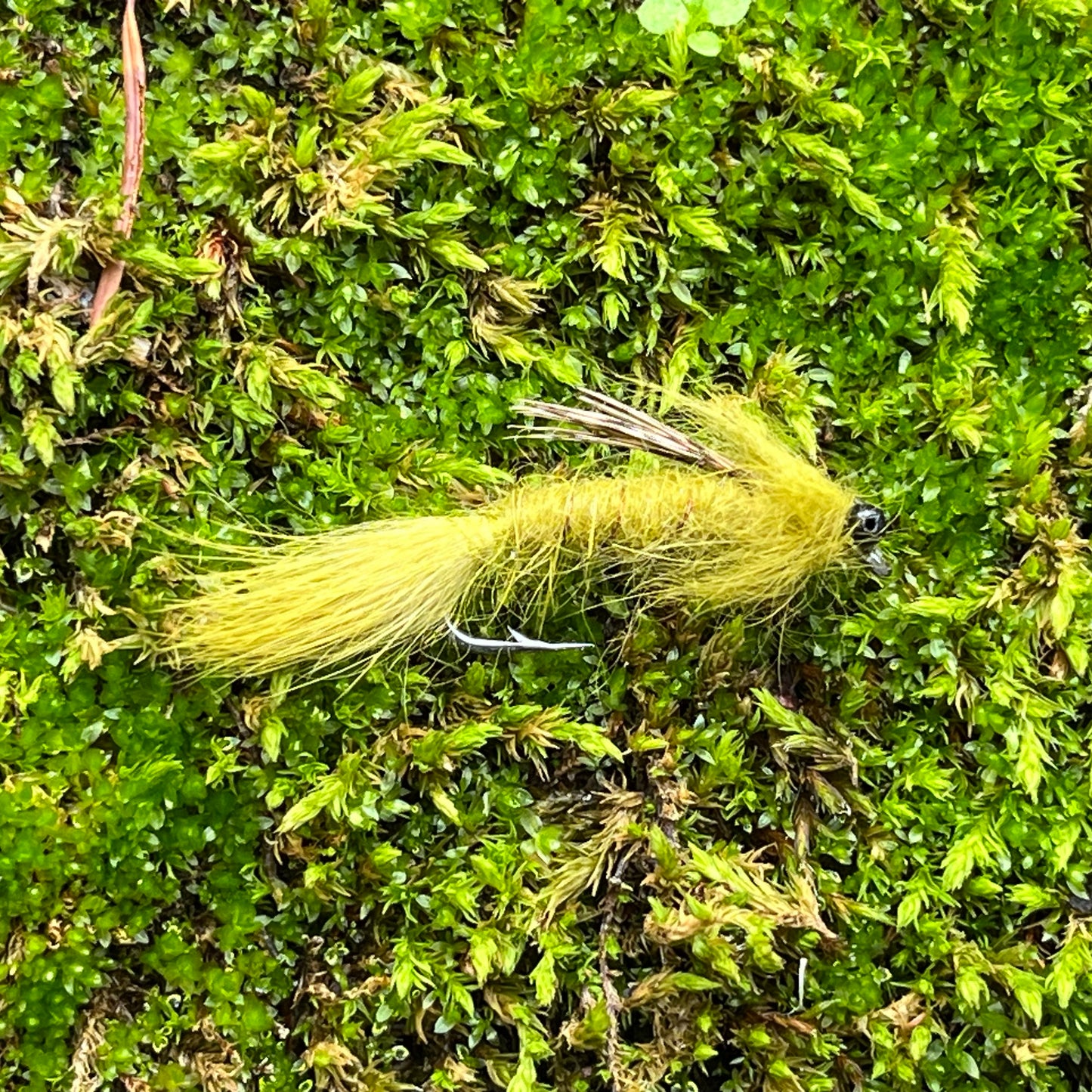 Chain Head Vivid Dragonfly - (Pack of 3)