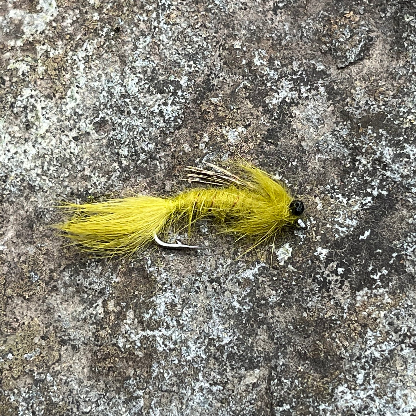 Chain Head Vivid Dragonfly - (Pack of 3)