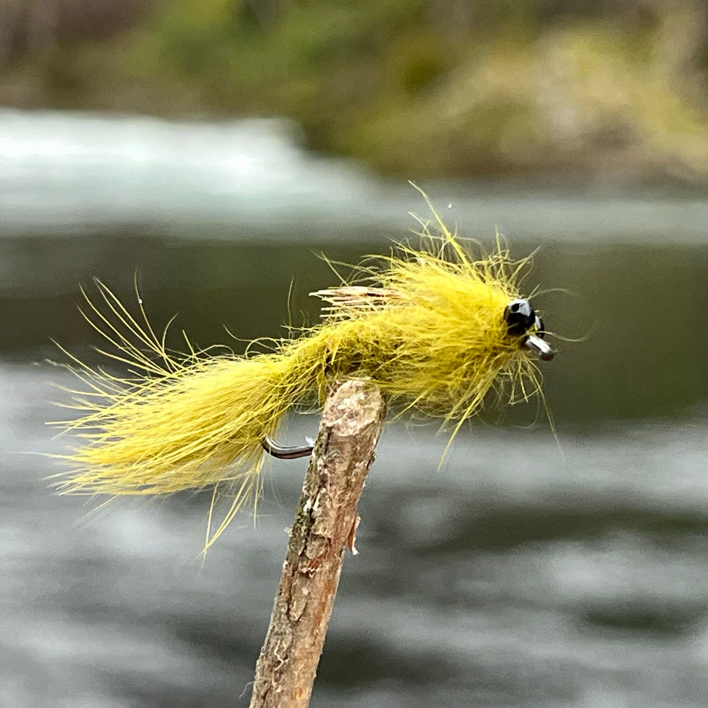 Chain Head Vivid Dragonfly - (Pack of 3)