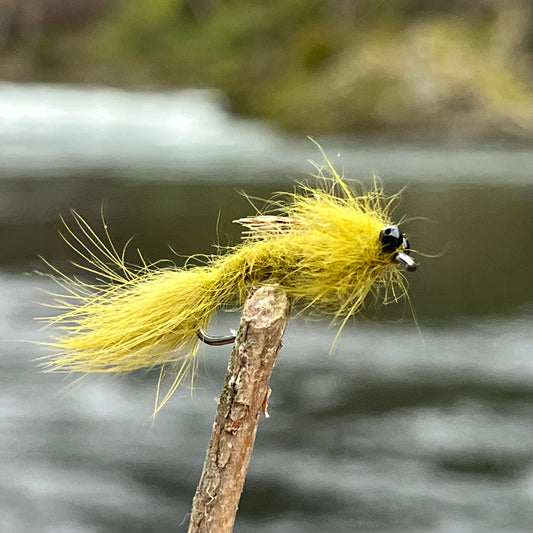 Chain Head Vivid Dragonfly - (Pack of 3)