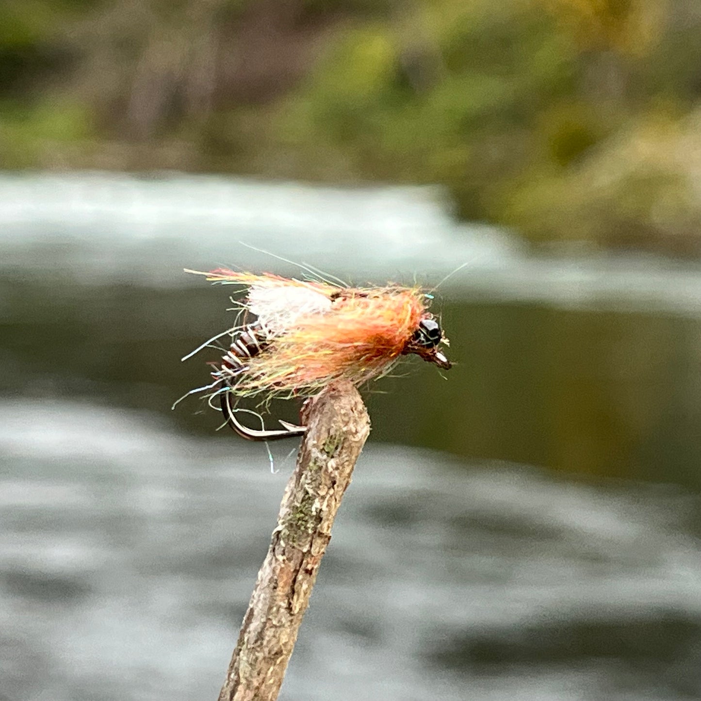 Dragonfly Nymph - (Pack of 3)
