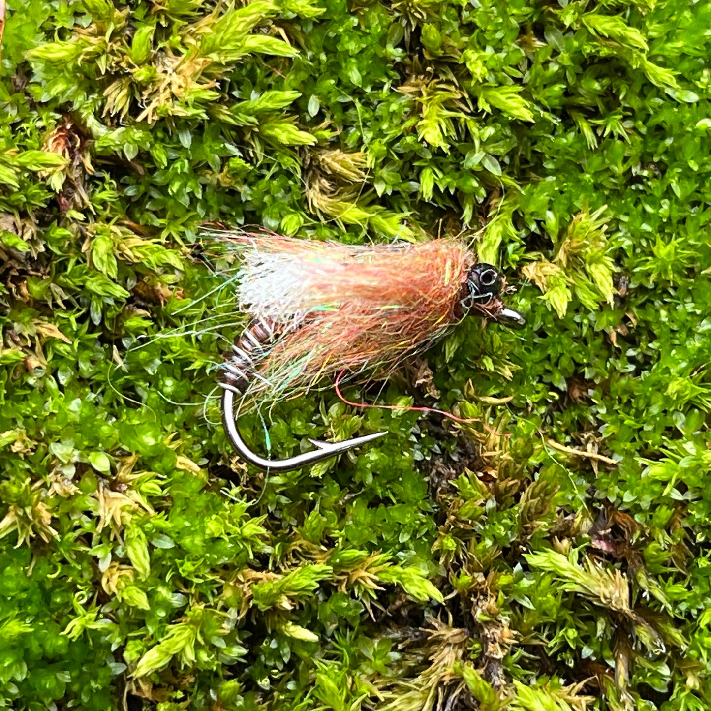 Dragonfly Nymph - (Pack of 3)