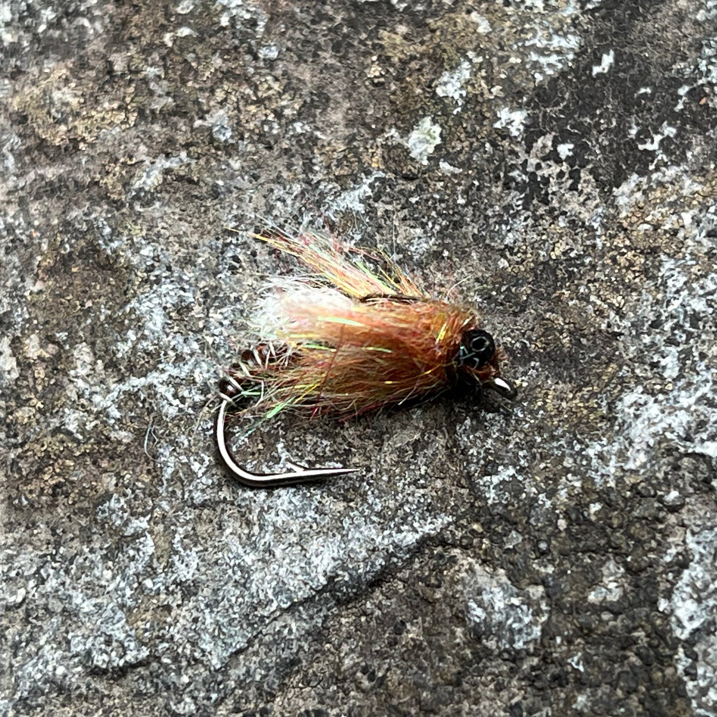 Dragonfly Nymph - (Pack of 3)