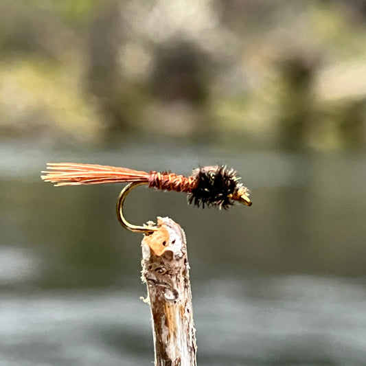 Pheasant Tail Nymph - (Pack of 3)