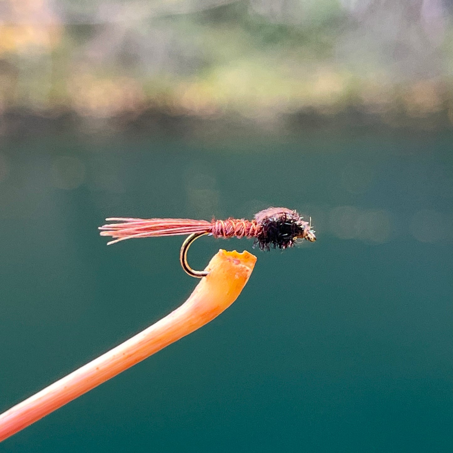 Pheasant Tail Nymph - (Pack of 3)