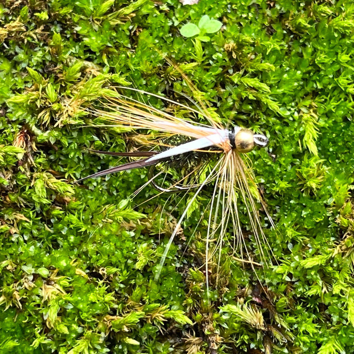 Brass Bead Head Prince Nymph - (Pack of 3)