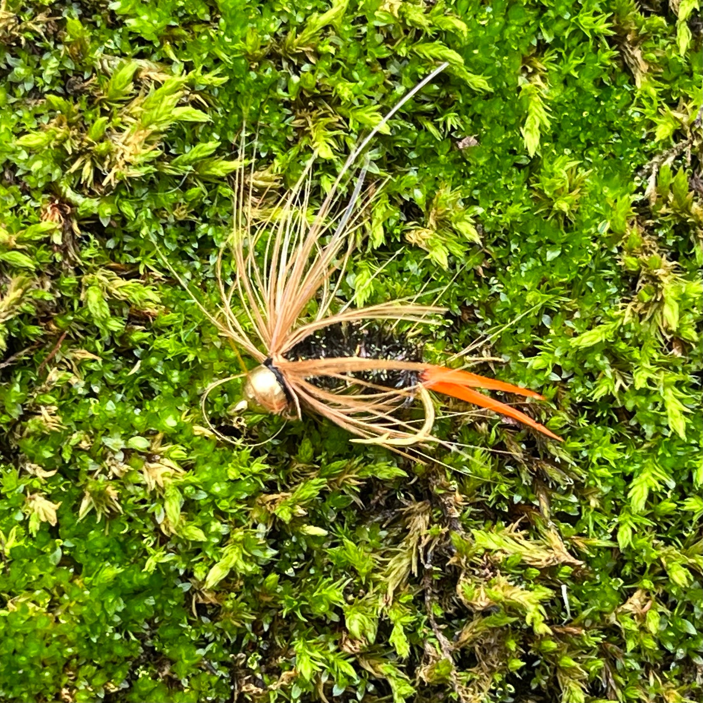 Brass Bead Head Psycho Prince Nymph - (Pack of 3)