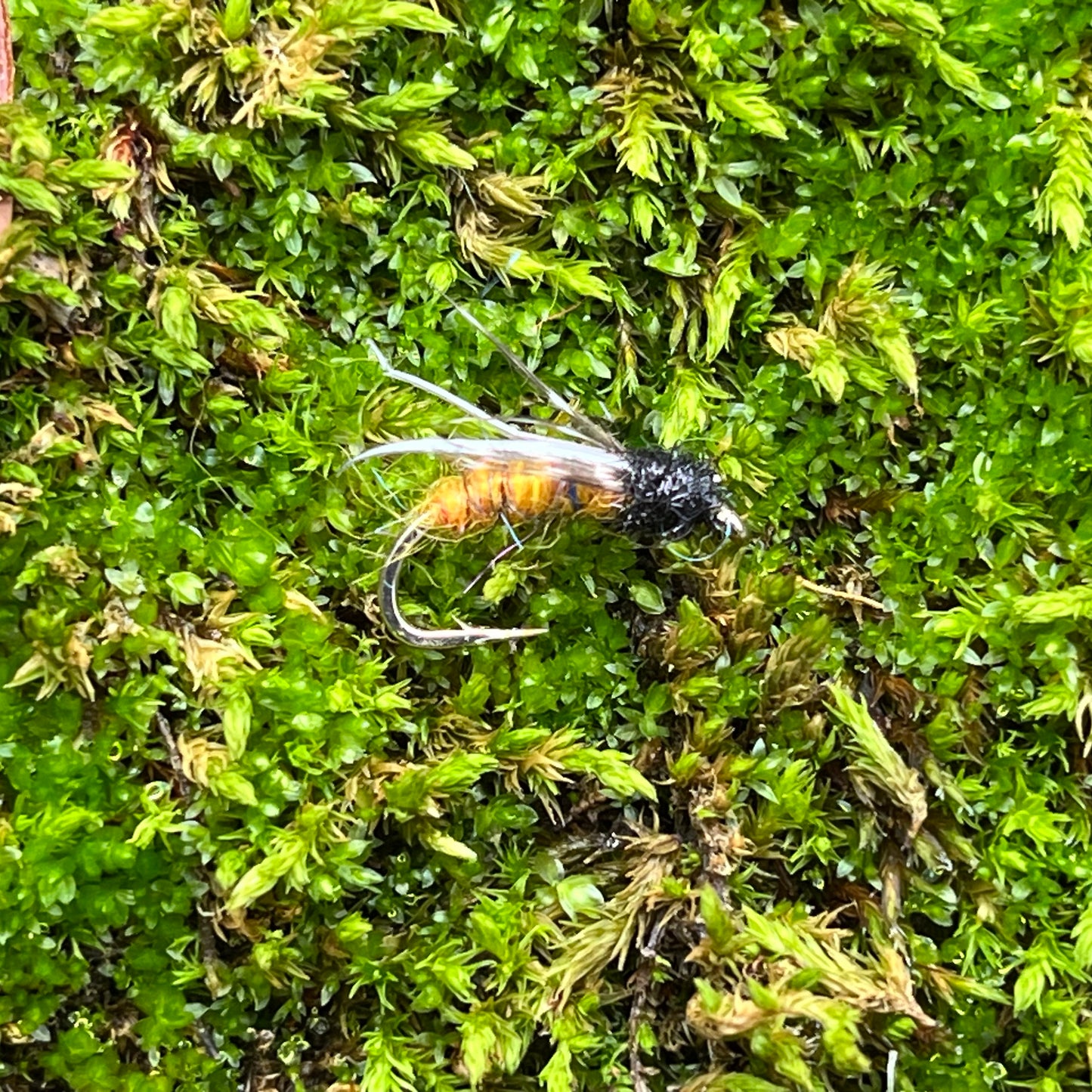 Partridge Soft Hackle Nymph Pupa Fly - (Pack of 3)
