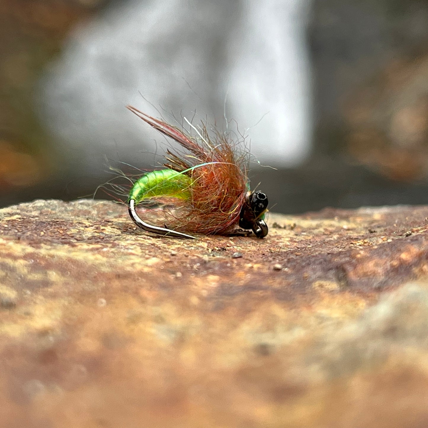 Scud Bug - (Pack of 3)
