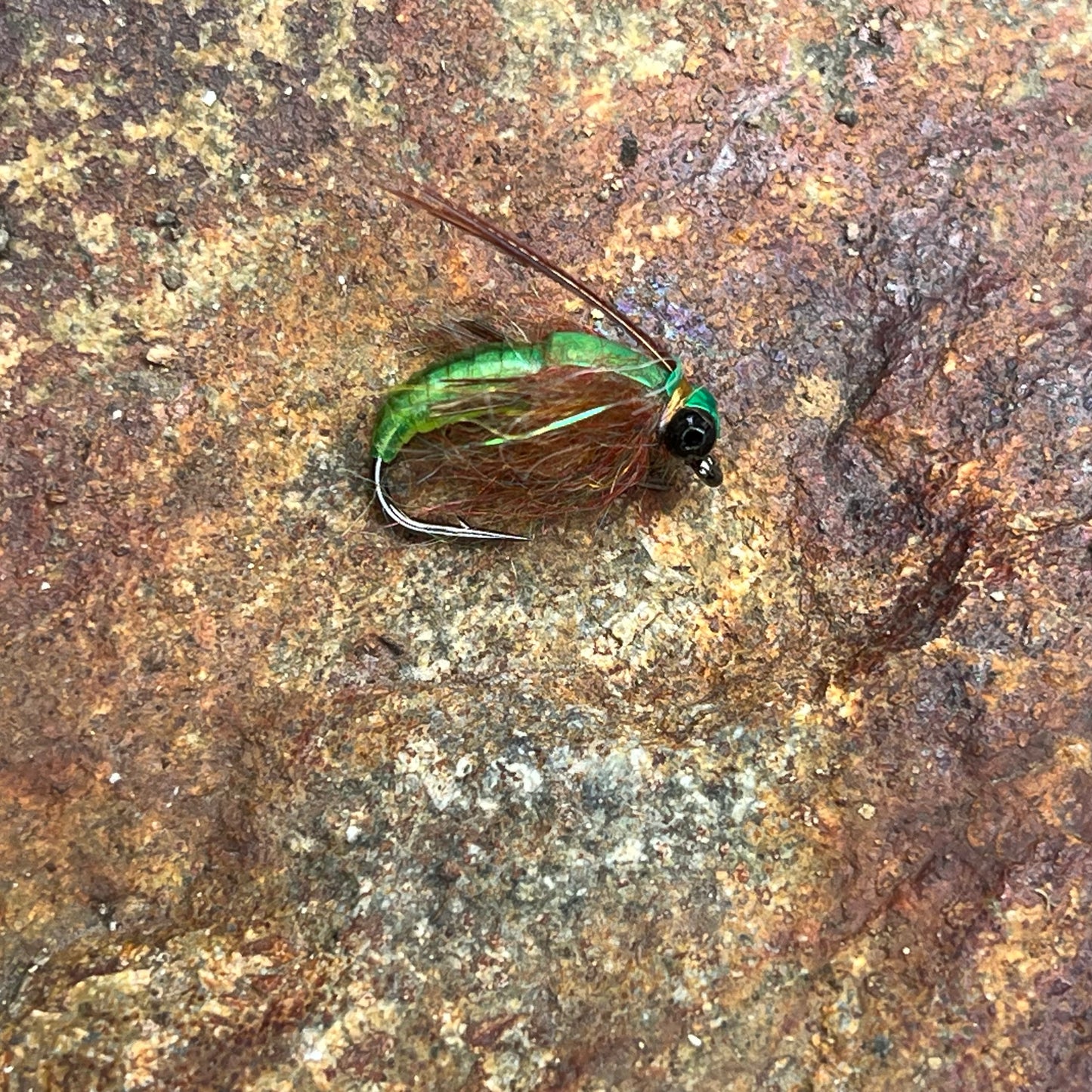 Scud Bug - (Pack of 3)