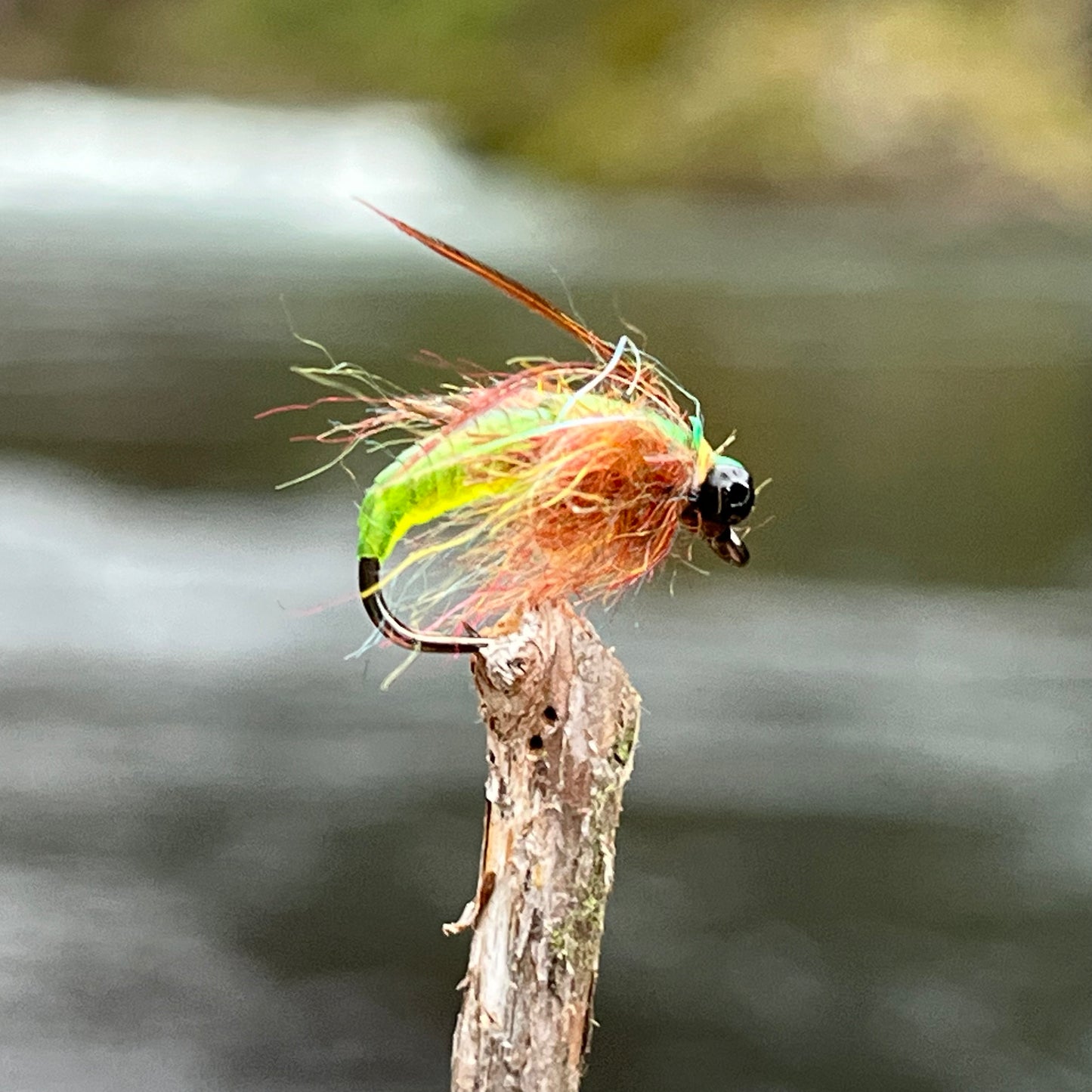 Scud Bug - (Pack of 3)