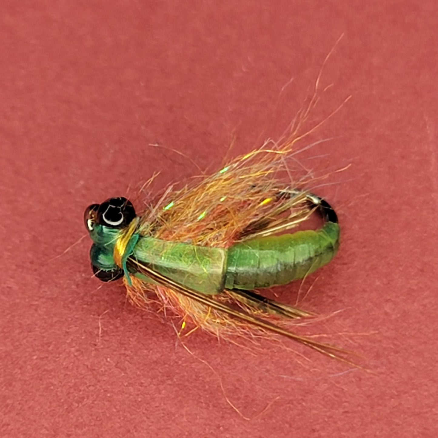 Scud Bug - (Pack of 3)