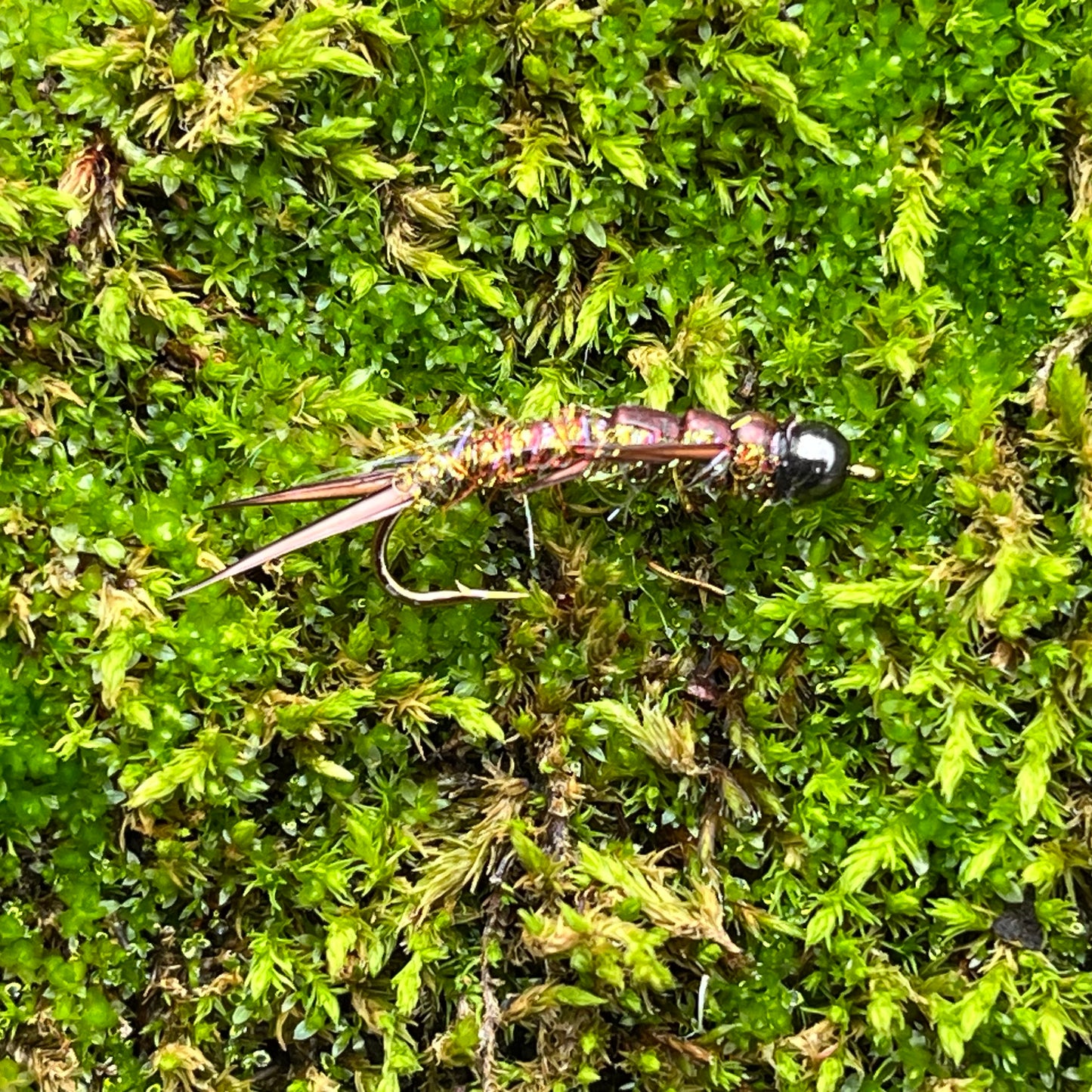 Tungsten head Stonefly - (Pack of 3)