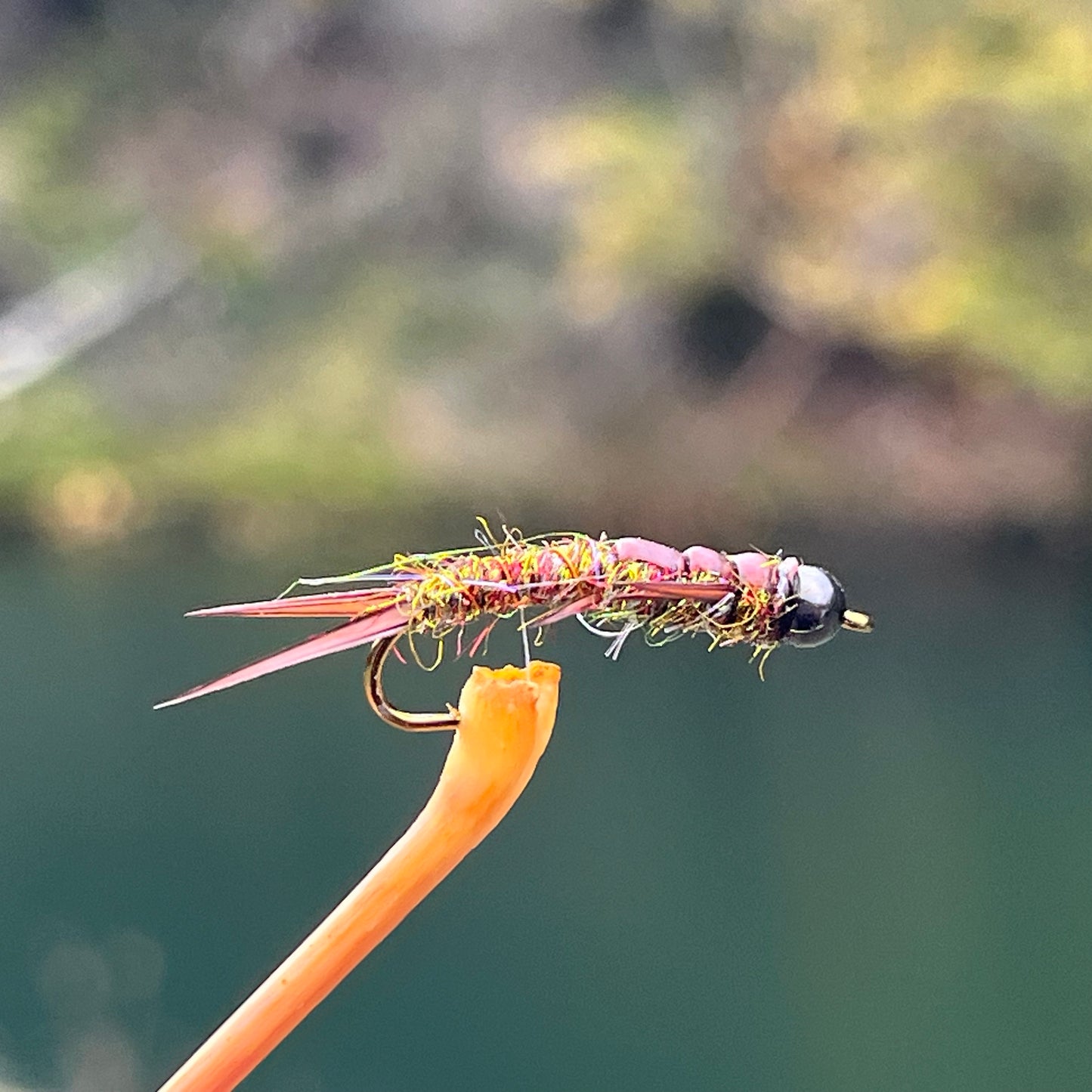 Tungsten head Stonefly - (Pack of 3)
