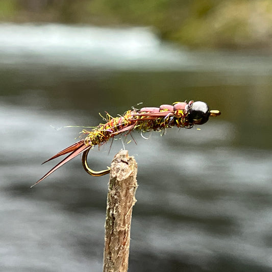 Tungsten head Stonefly - (Pack of 3)