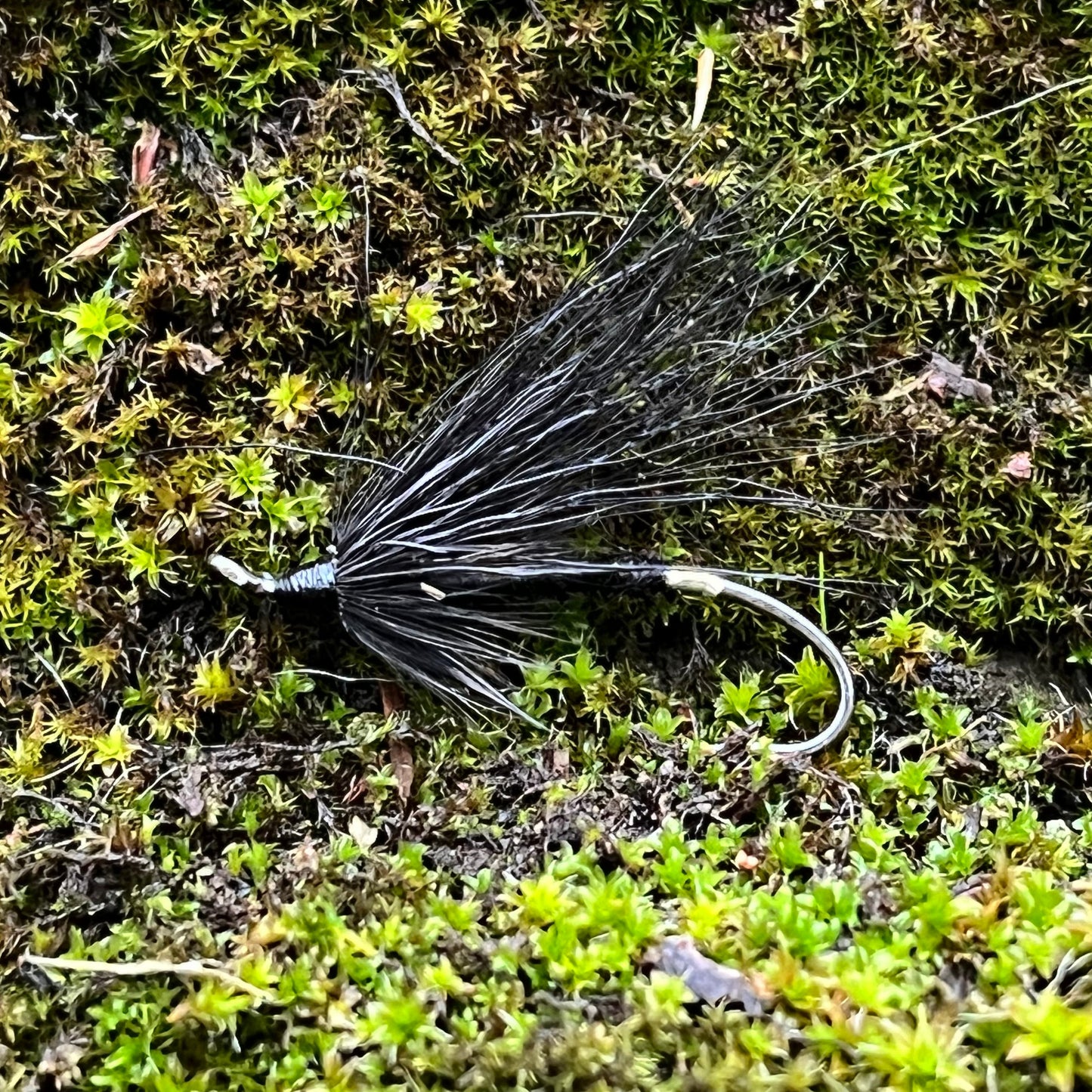 Black silver