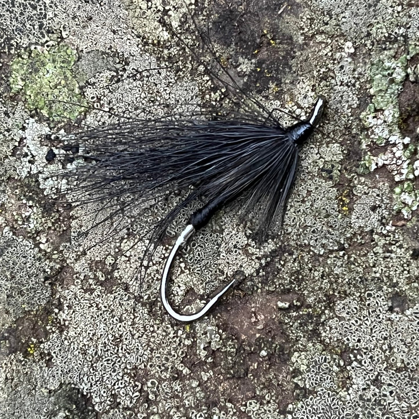Black silver