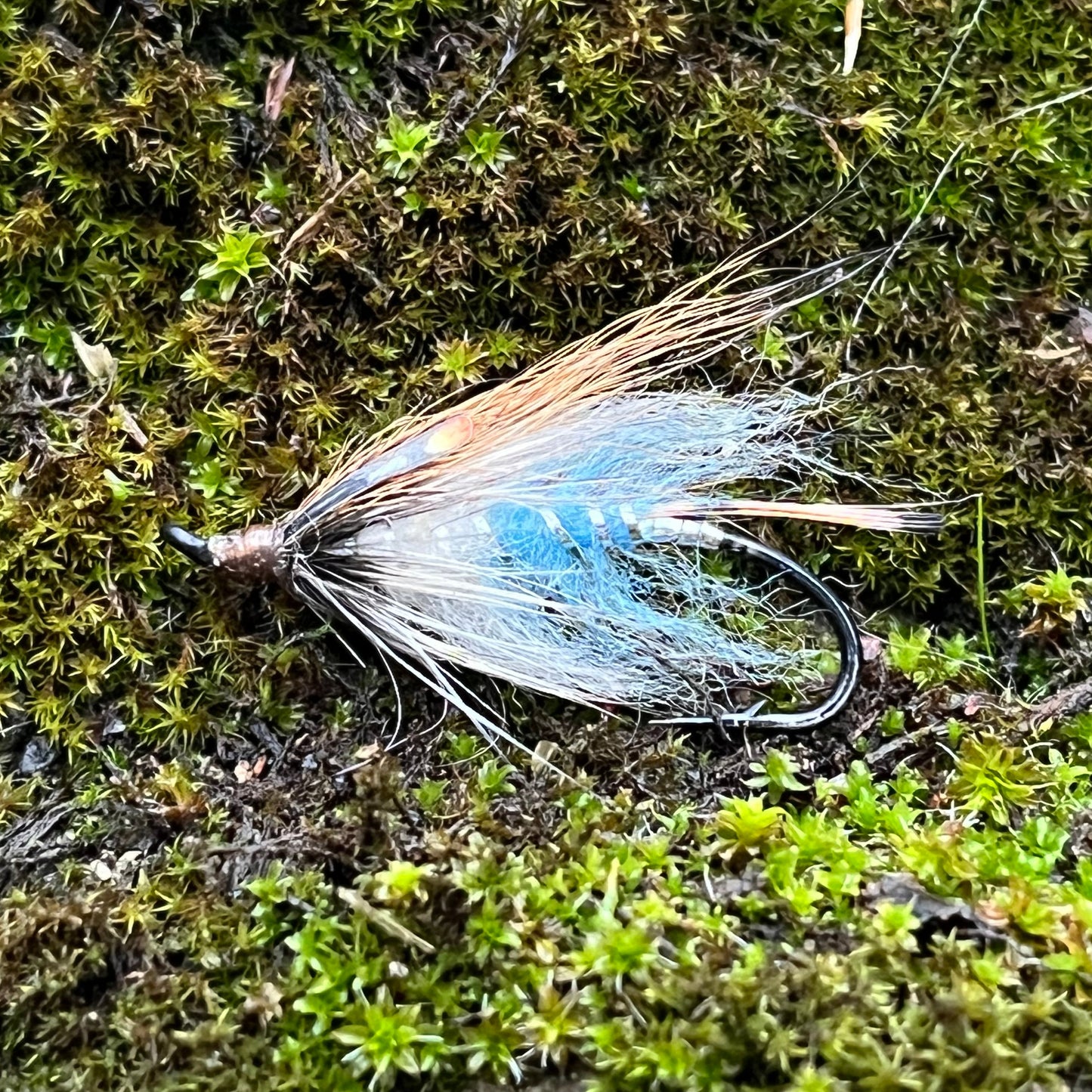 Blue Chevany