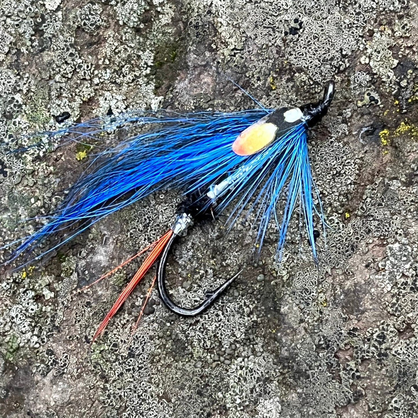 Blue Highlander