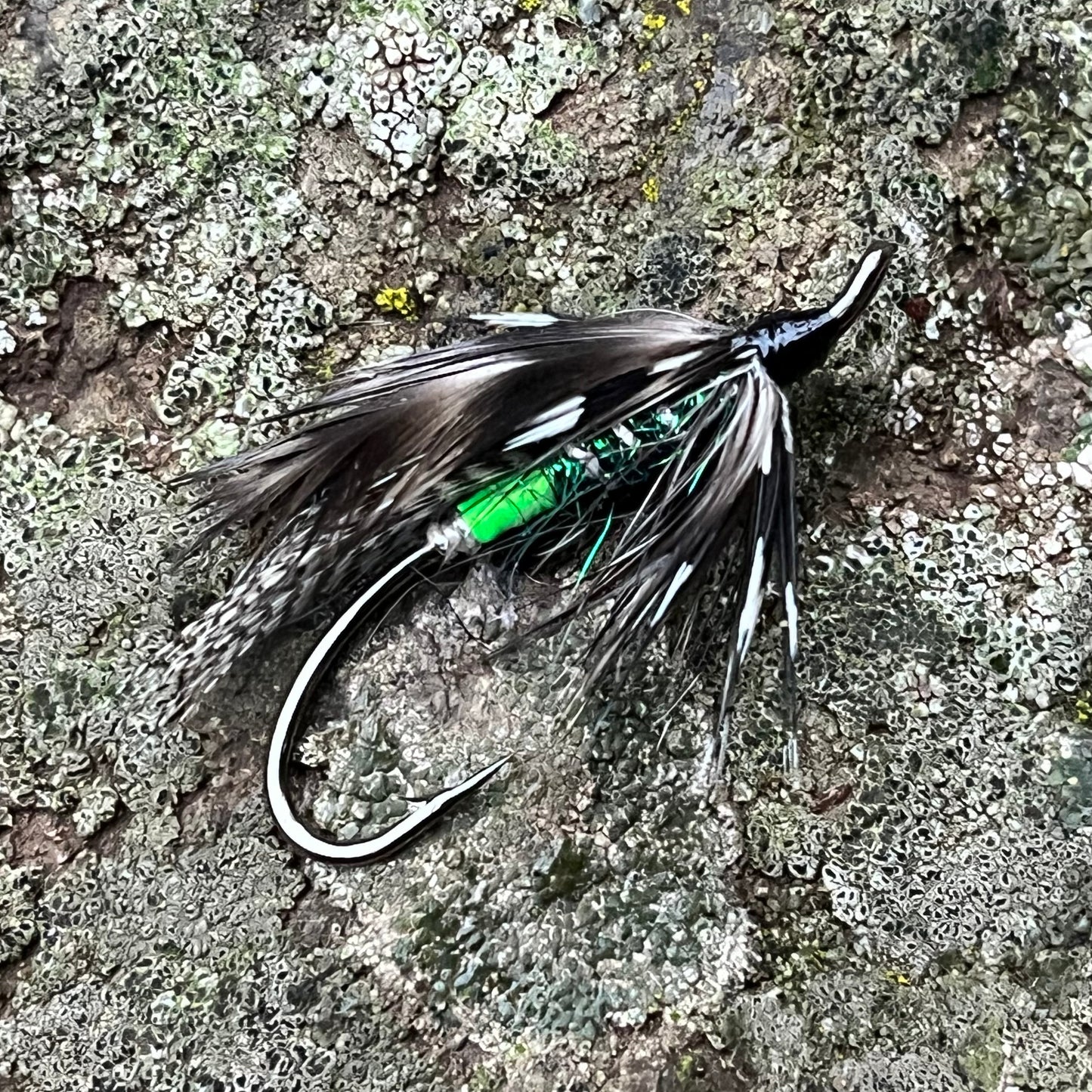 Green Butt Silver Hilton
