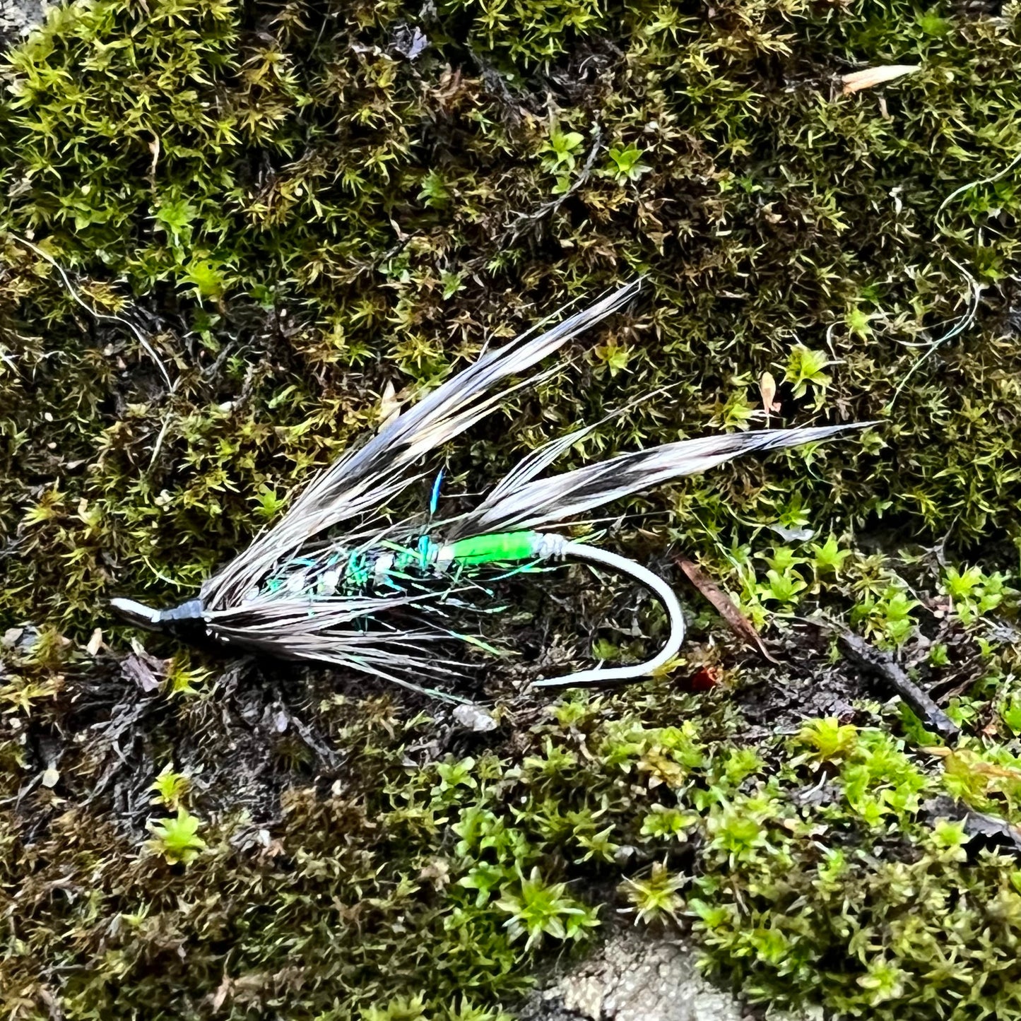 Green Butt Silver Hilton