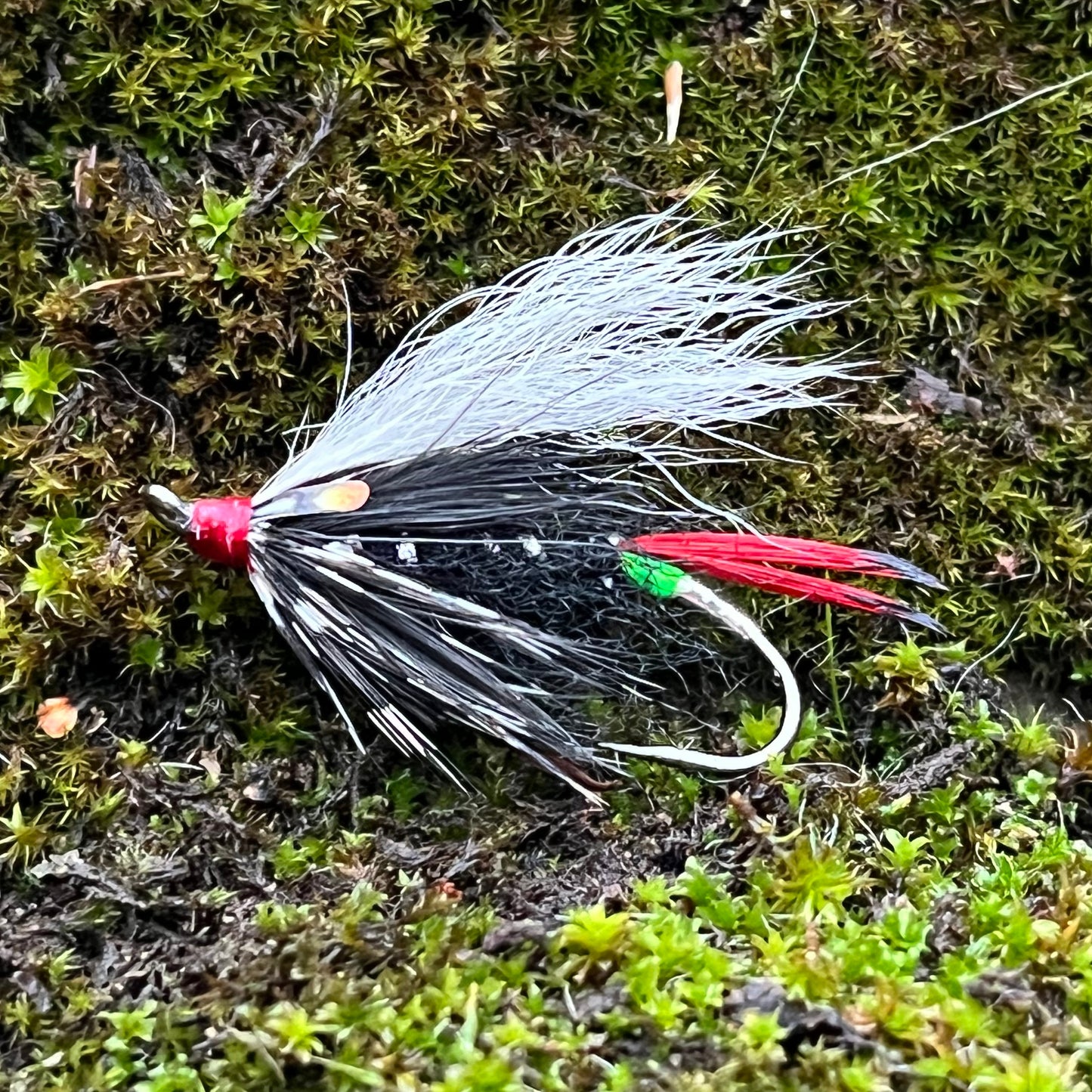 Green Butt Skunk